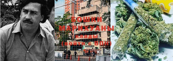 шишки Кукмор