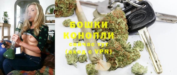 шишки Кукмор